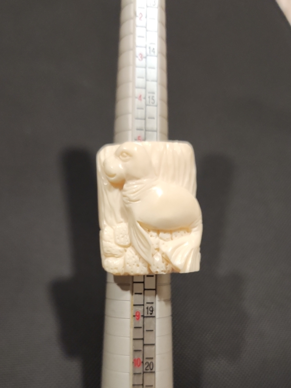 Carved Cream Animal Ring - Intricate Seal/Sea Lion Design